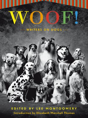 cover image of Woof!